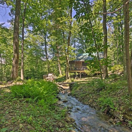 Creekside Cabin With Deck In Pisgah Forest! Barnardsville エクステリア 写真