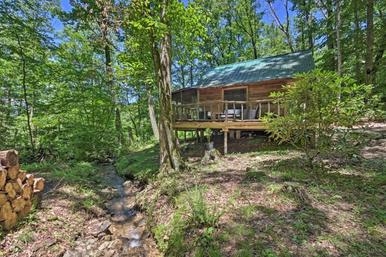 Creekside Cabin With Deck In Pisgah Forest! Barnardsville エクステリア 写真
