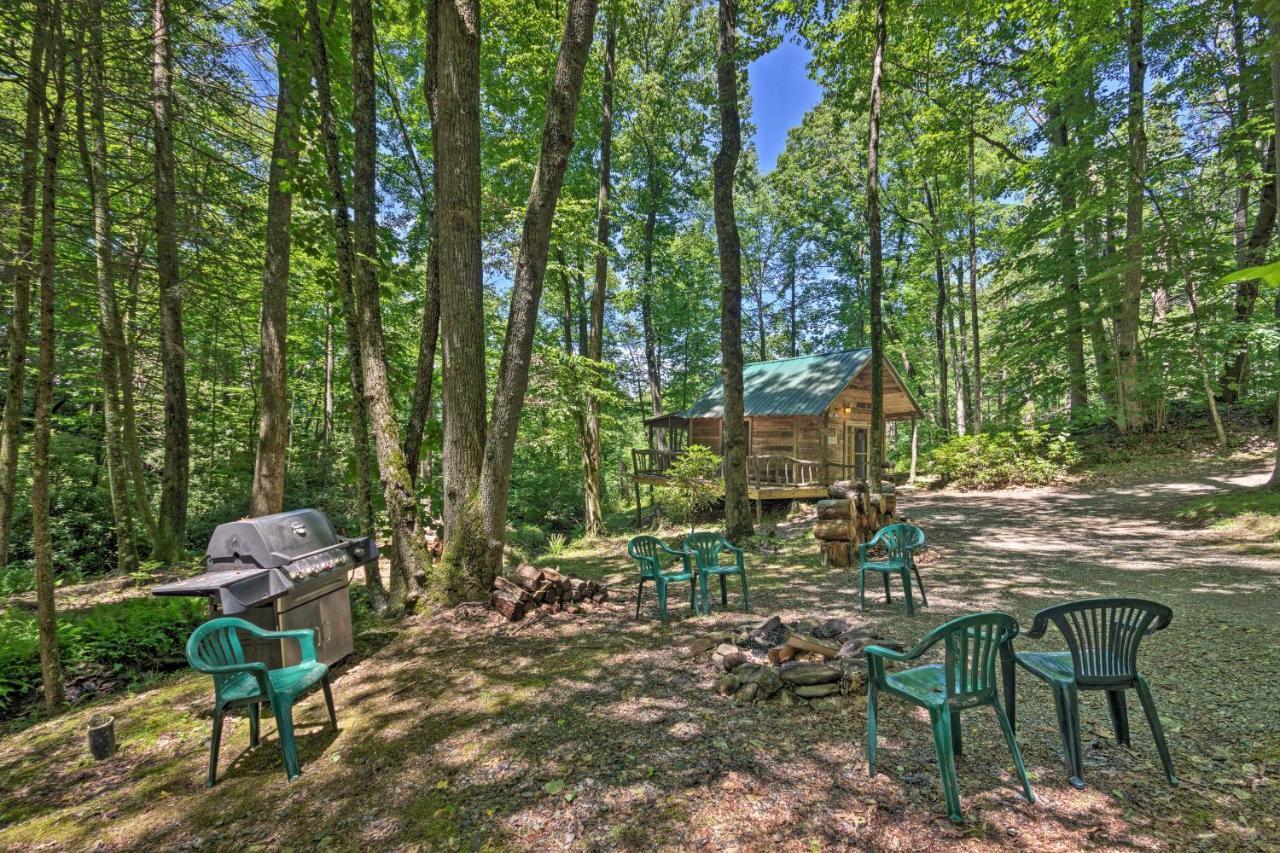Creekside Cabin With Deck In Pisgah Forest! Barnardsville エクステリア 写真
