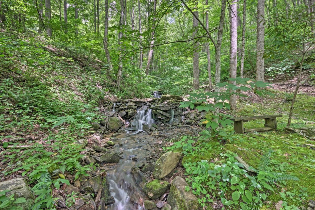 Creekside Cabin With Deck In Pisgah Forest! Barnardsville エクステリア 写真